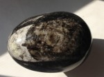 Orthoceras Łodzik skamieniałe  jajo jajko - Maroko - skamieniałość